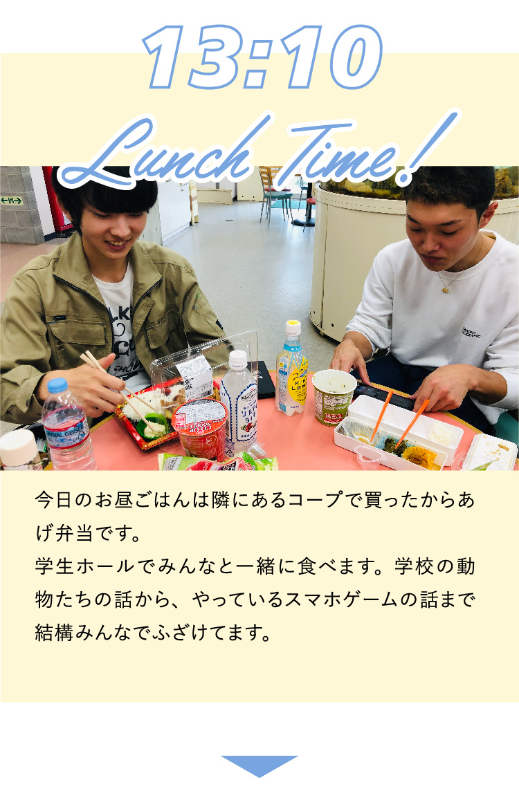 13:10 今日のお昼ごはんは隣にあるコープで買ったからあげ弁当です。学生ホールでみんなと一緒に食べます。学校の動物たちの話から、やっているスマホゲームの話まで結構みんなでふざけてます。