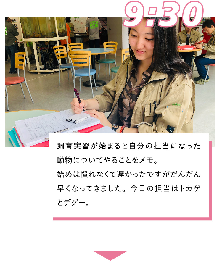 9:30 飼育実習が始まると自分の担当になった動物についてやることをメモ。始めは慣れなくて遅かったですがだんだん早くなってきました。今日の担当はトカゲとデグー。