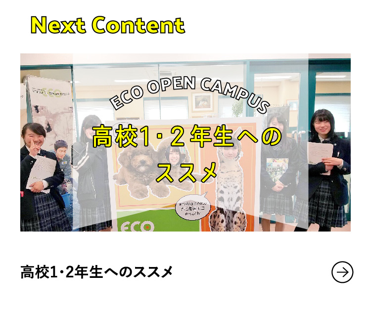 Next Content 高校1・2年生へのススメ