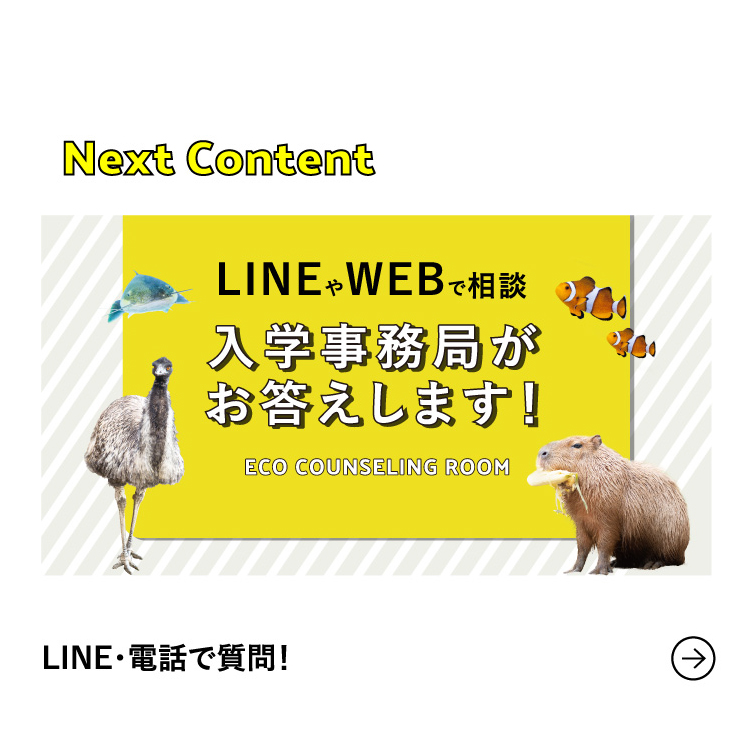Next Content LINE・電話で質問！