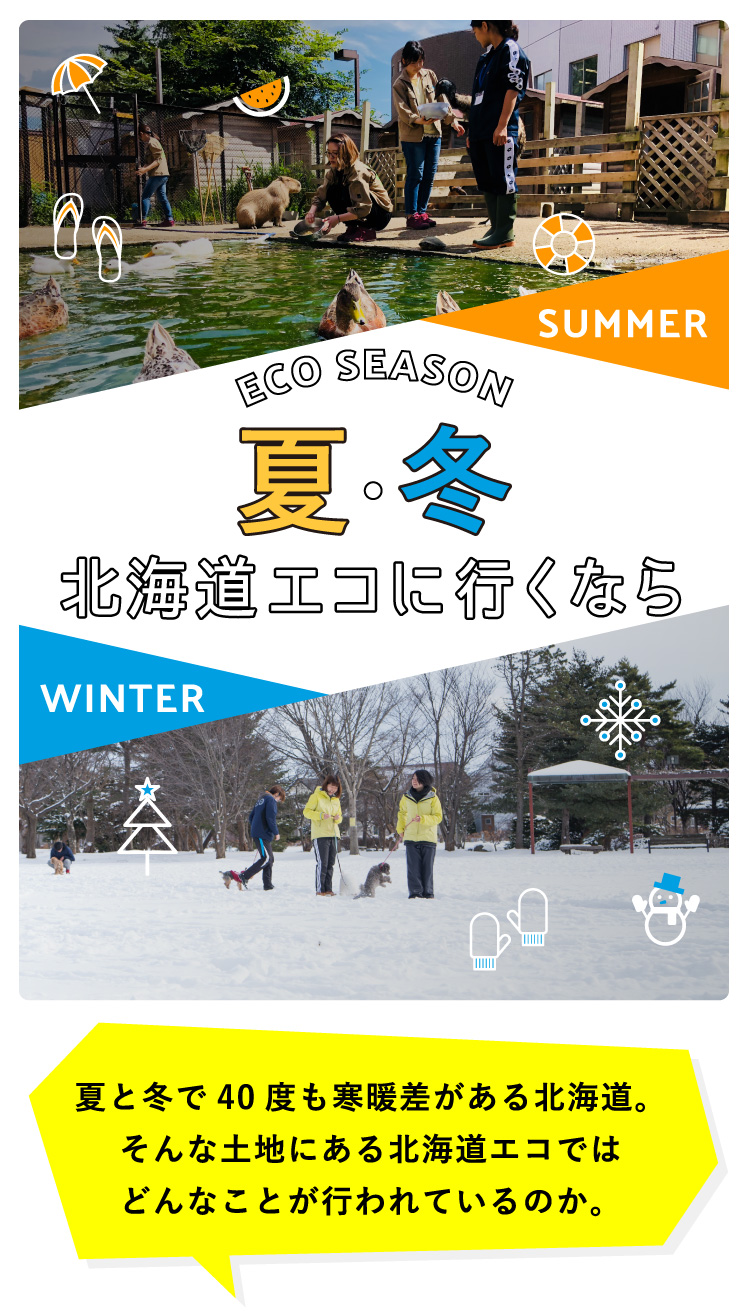 北海道エコに行くなら 夏と冬で40度も寒暖差がある北海道。そんな土地にある北海道エコではどんなことが行われているのか。