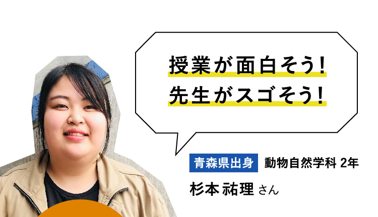 授業が面白そう！先生がスゴそう！