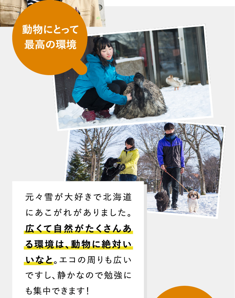 動物にとって最高の環境 元々雪が大好きで北海道にあこがれがありました。広くて自然がたくさんある環境は、動物に絶対いいなと。エコの周りも広いですし、静かなので勉強にも集中できます！