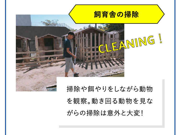 飼育舎の掃除 掃除や餌やりをしながら動物を観察。動き回る動物を見ながらの掃除は意外と大変！