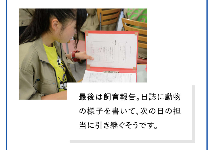 最後は飼育報告。日誌に動物の様子を書いて、次の日の担当に引き継ぐそうです。