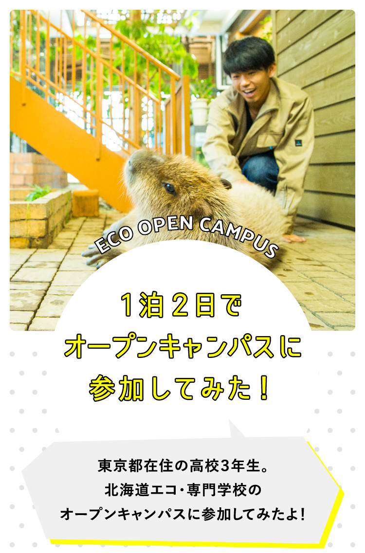 1泊2日でオープンキャンパスに参加してみた！ 東京都在住の高校３年生。北海道エコ・専門学校のオープンキャンパスに参加してみたよ！