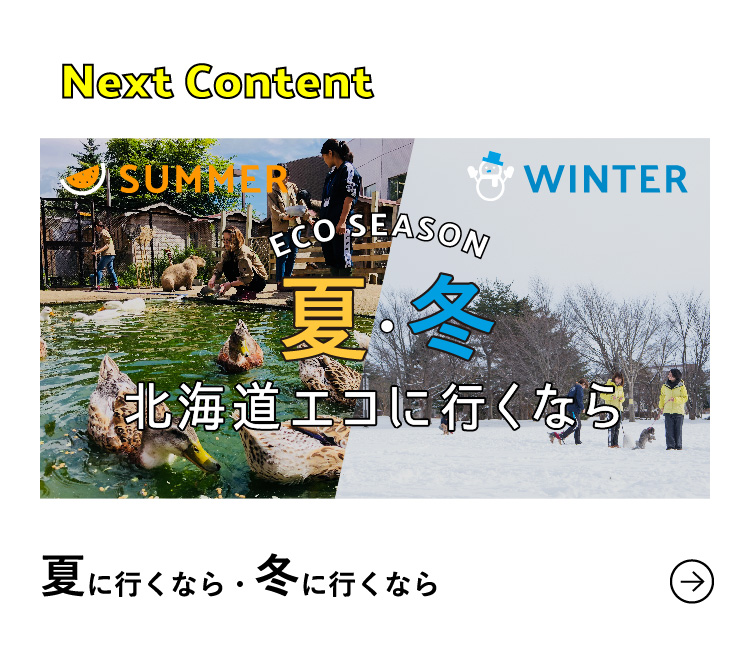 Next Content 夏に行くなら・冬に行くなら