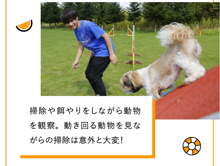 掃除や餌やりをしながら動物を観察。動き回る動物を見ながらの掃除は意外と大変！