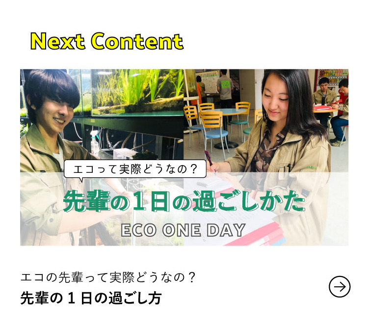 Next Contentエコの先輩って実際どうなの？先輩の1日の過ごし方