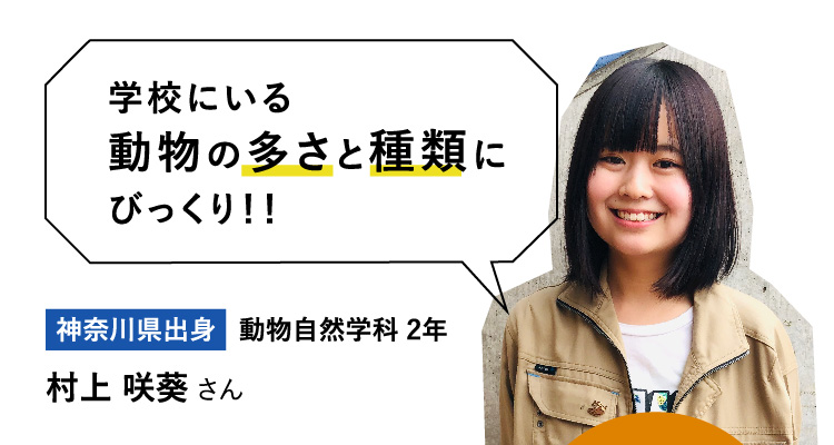 学校にいる動物の多さと種類にびっくり！！