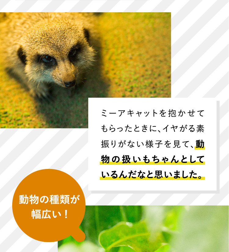 ミーアキャットを抱かせてもらったときに、イヤがる素振りがない様子を見て、動物の扱いもちゃんとしているんだなと思いました。