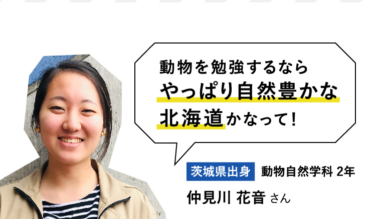 動物を勉強するならやっぱり自然豊かな北海道かなって！