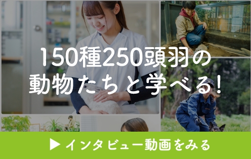 150種250頭羽の動物たちと学べる!