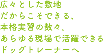 行動も気持ちも理解した、犬のスペシャリストになる！