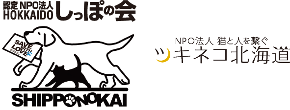 3年制だからできること 動物看護師学科 北海道エコ 動物自然専門学校 3年制だからできること 動物看護師学科 北海道エコ 動物自然専門学校