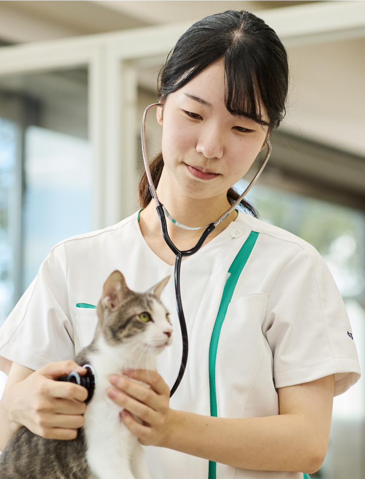 動物看護師学科｜北海道エコ・動物自然専門学校