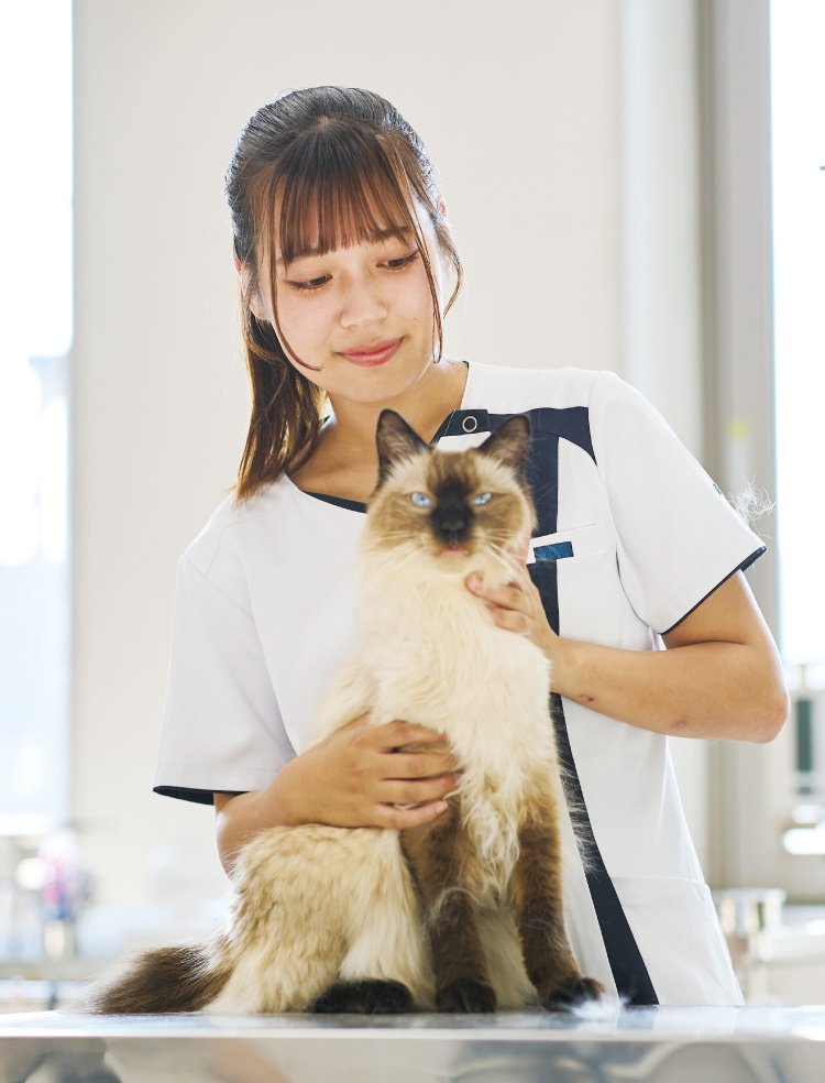 動物看護師学科｜北海道エコ・動物自然専門学校