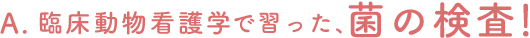 ○○○○でならった、菌の検査!