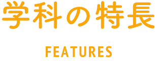 その道のプロになる。何でもできる人にもなれる。