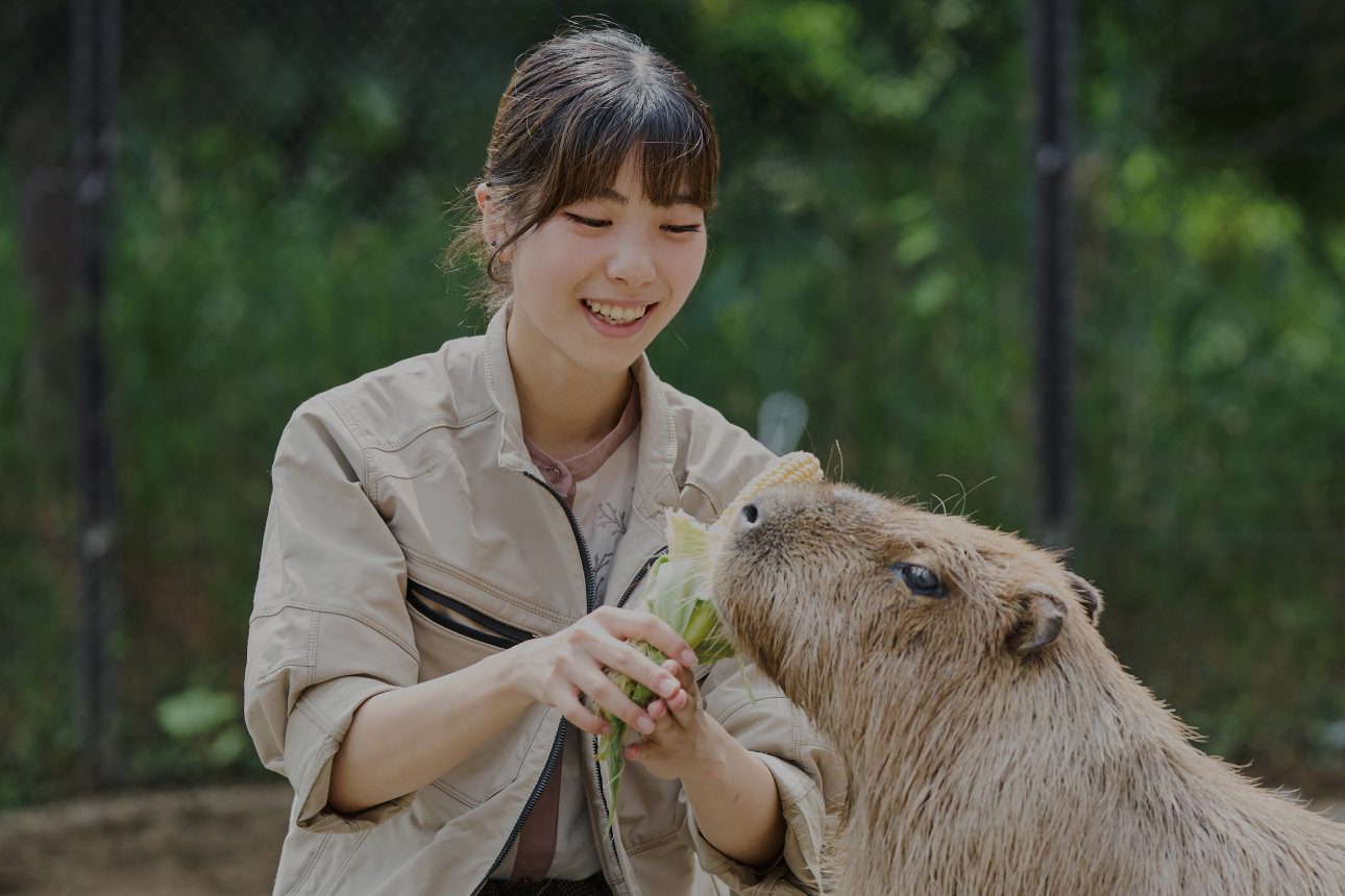 動物園 動物飼育専攻 北海道エコ 動物自然専門学校