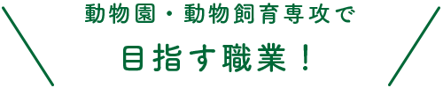 動物園・動物飼育専攻で目指す職業!