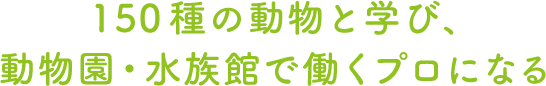 150種の動物と学び、動物園・水族館で働くプロになる