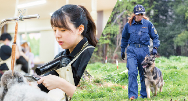 総合ペット学科の写真