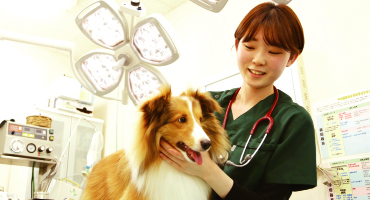 動物医療飼育学科の写真