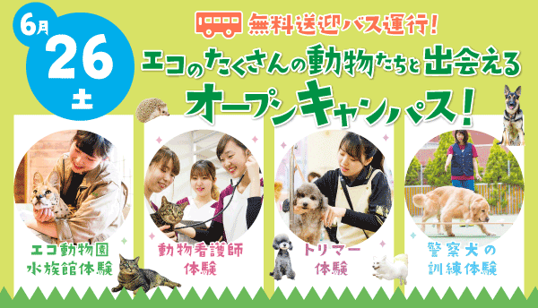 公式 動物の専門学校 北海道エコ 動物自然専門学校 公式 動物の専門学校 北海道エコ 動物自然専門学校