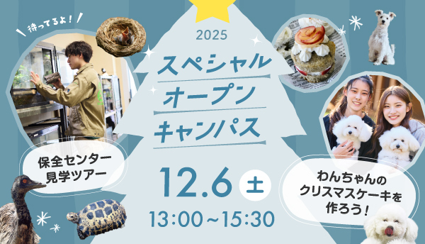 2025年12月スペシャルオープンキャンパス1