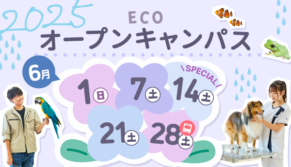 2025年6月オープンキャンパス