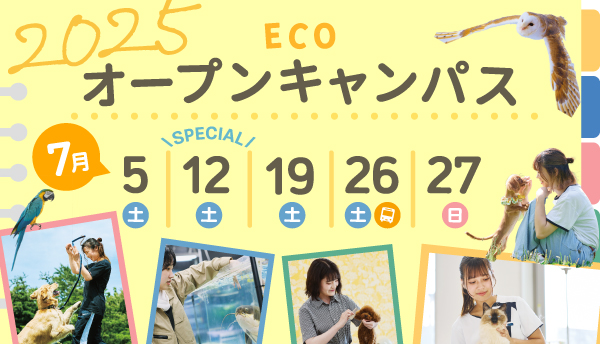 2025年7月オープンキャンパス