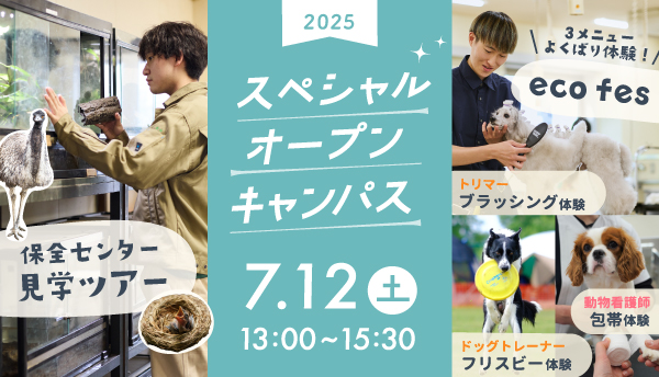 2025年7月スペシャルオープンキャンパス