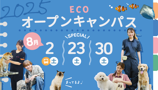 2025年8月オープンキャンパス