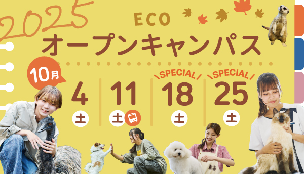 2025年10月オープンキャンパス