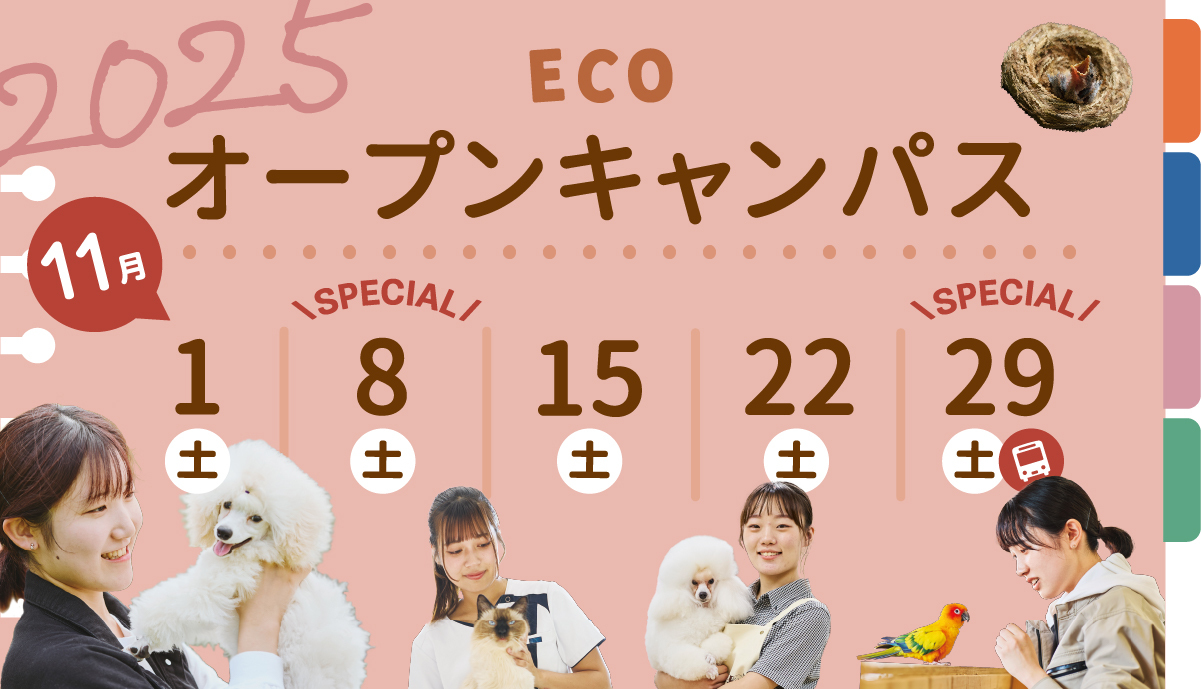 2025年11月オープンキャンパス
