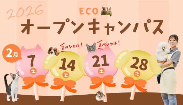 2026年2月オープンキャンパス