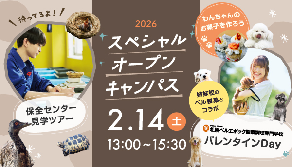 2026年2月スペシャルオープンキャンパス1
