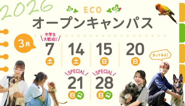 2026年2月スペシャルオープンキャンパス1