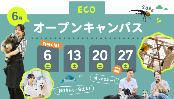 2026年6月オープンキャンパス