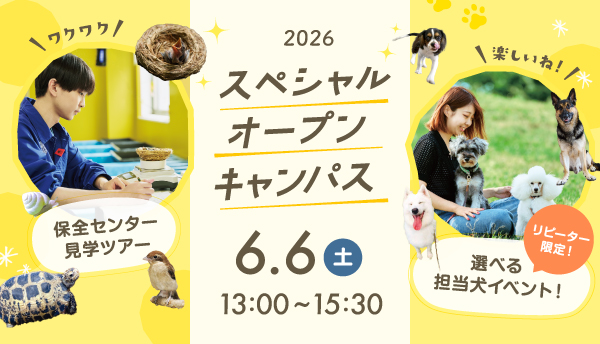 2026年6月スペシャルオープンキャンパス1