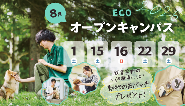 2026年8月オープンキャンパス