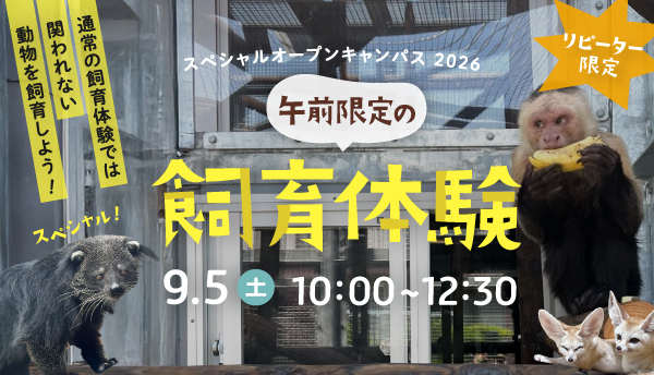 2026年9月スペシャルオープンキャンパス1