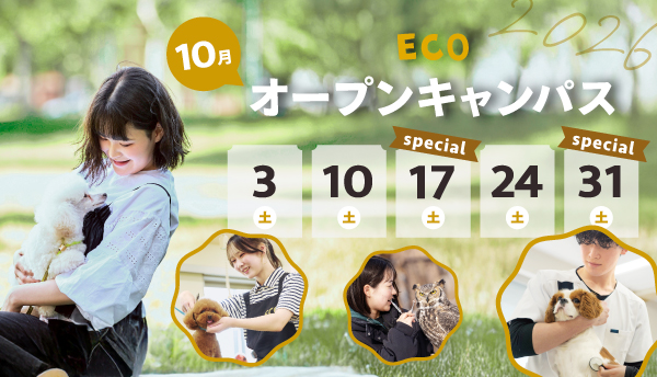 2026年10月オープンキャンパス