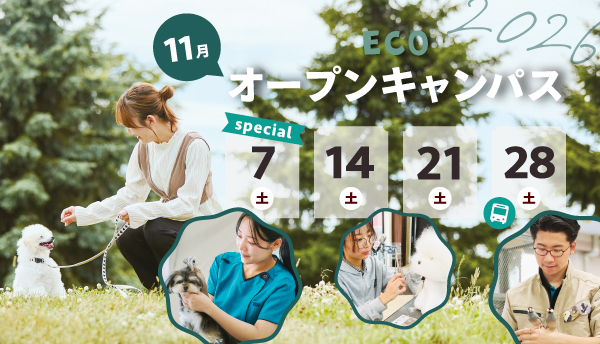 2026年11月オープンキャンパス