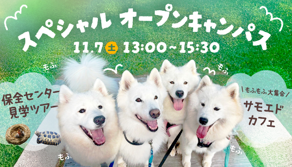 2026年11月スペシャルオープンキャンパス1