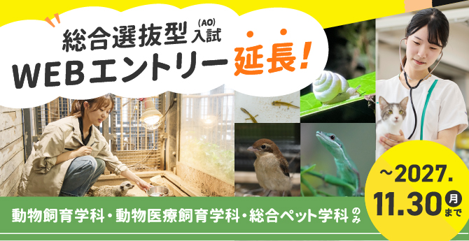 2026年11月AOバナー