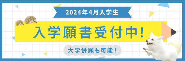 2024年入学生入学願書受付中