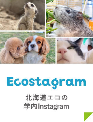 飼育日誌@instagram