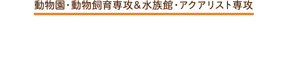 動物園・動物飼育専攻＆水族館・アクアリスト専攻 在校生と一緒にエコの飼育当番なりきり体験！100種類の動物がいる北海道エコだから出来る！！